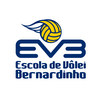 Franquia ESCOLA DE VOLEI BERNARDINHO