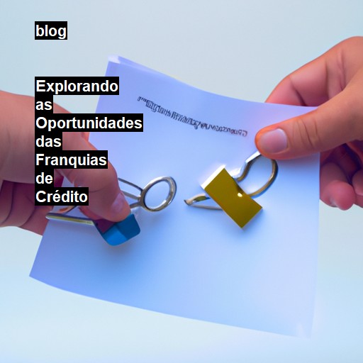   Explorando as Oportunidades das Franquias de Crédito  