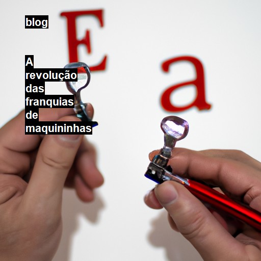   A revolução das franquias de maquininhas  