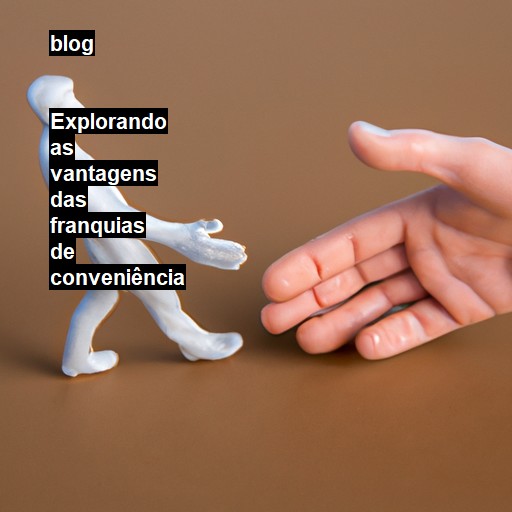   Explorando as vantagens das franquias de conveniência  