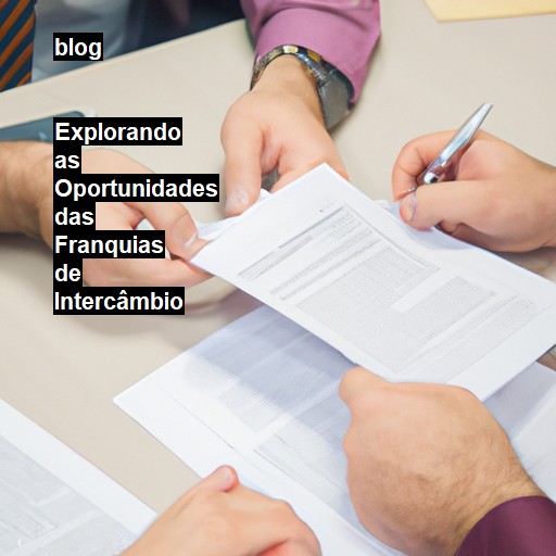   Explorando as Oportunidades das Franquias de Intercâmbio  